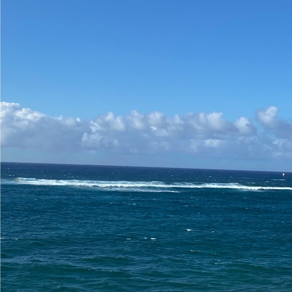 Meet your Posher, Andrea - Picture 1 of 1